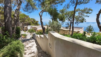 Área da propriedade