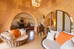 TV, fireplace, books