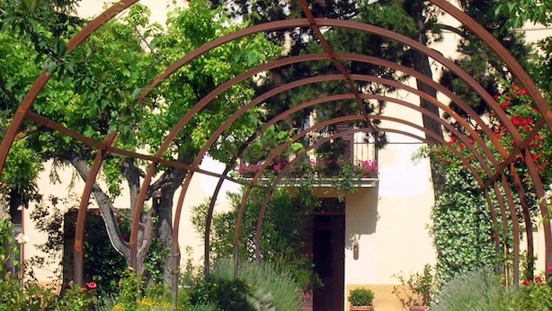 Un jardín con un arco de metal, plantas en macetas y la entrada de un edificio.