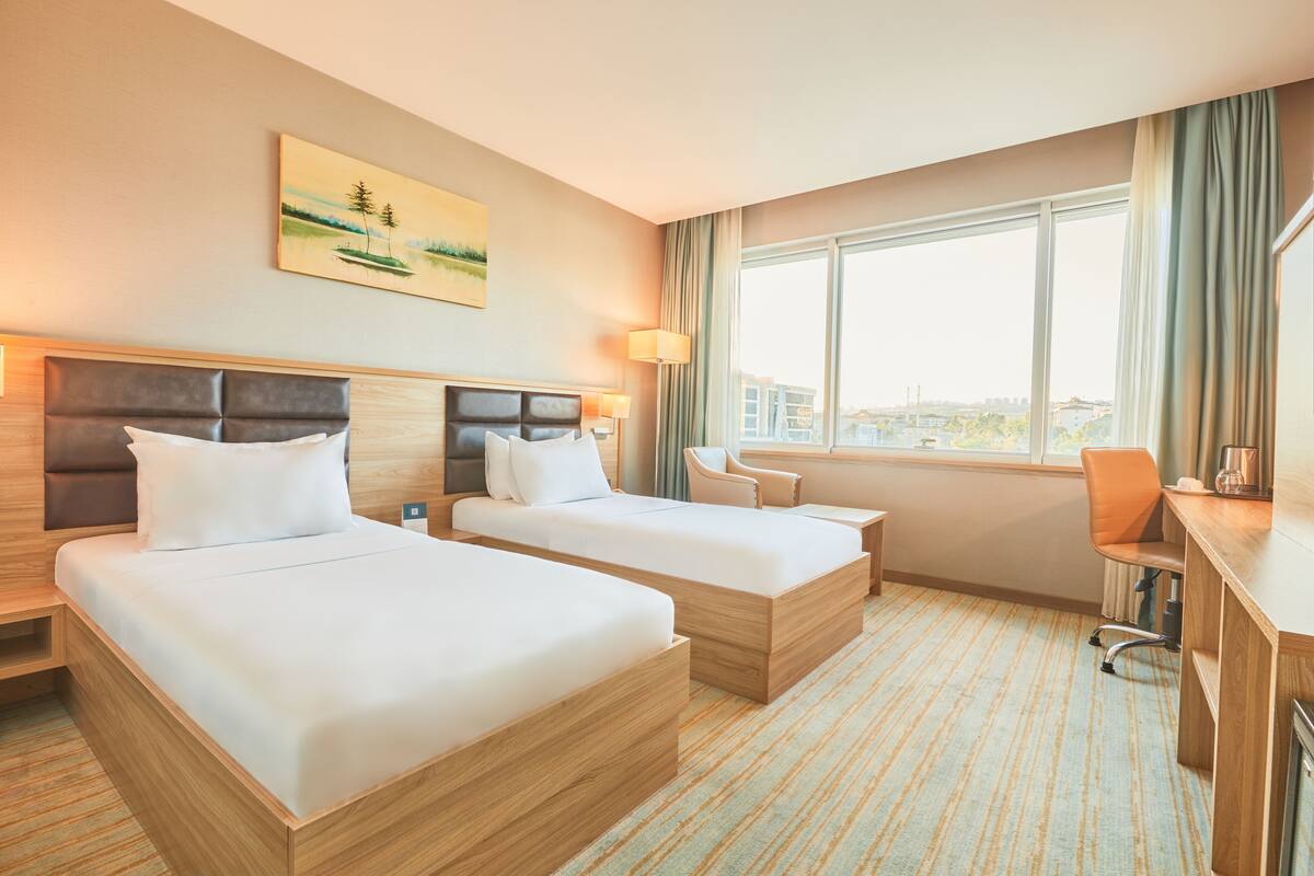 superior twin room | city view