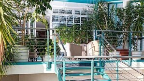 Een modern interieur met een trap, plantenbakken en een zithoek.