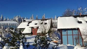 A snow-covered building with a glass facade and a red roof, surrounded by snow-laden trees and a clear blue sky.