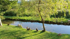 View from property - Rustic Inn River 2 (Plitvicka Jezera)