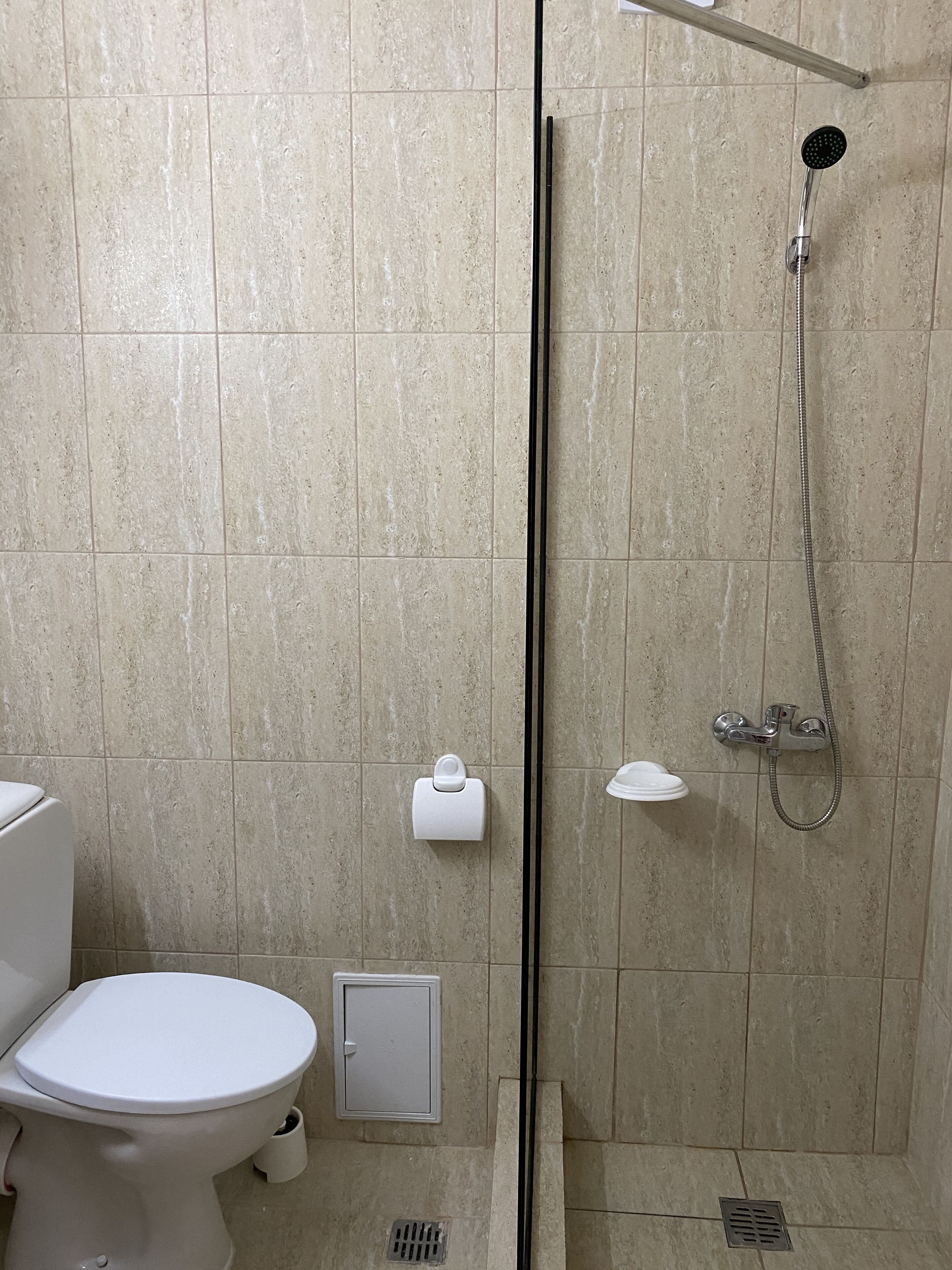 A bathroom with a toilet, a shower, and a toilet paper holder.
