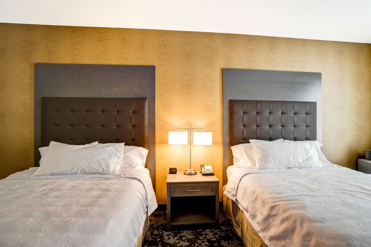 Habitación de hotel con dos camas, una mesita de noche con lámpara y un teléfono fijo en la pared.