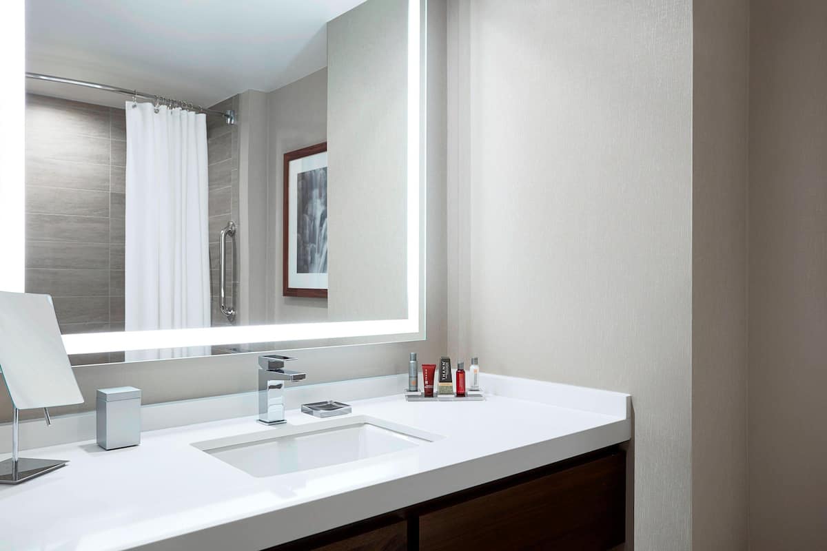 shower, rainfall showerhead, free toiletries, hair dryer