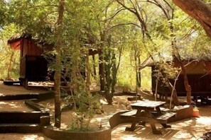 Aire de pique-nique/barbecue