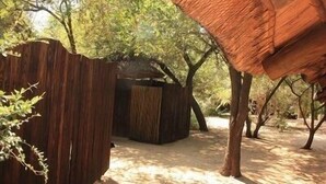Une construction rustique en bois, dotée d’un toit de chaume, entourée d’arbres et bordée d’un sol sablonneux.