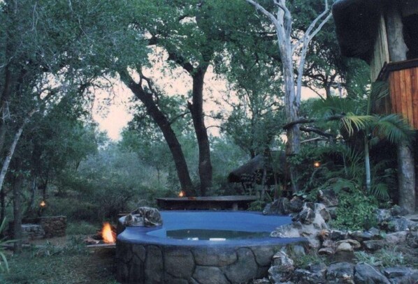 Outdoor pool - Offbeat Safaris (Hoedspruit)