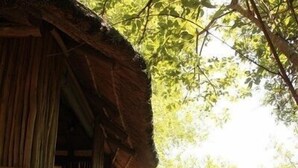 Une cabane rustique en bois, dotée d’un toit de chaume, d’une terrasse en bois et d’un sentier menant à une entrée fermée par un portail.