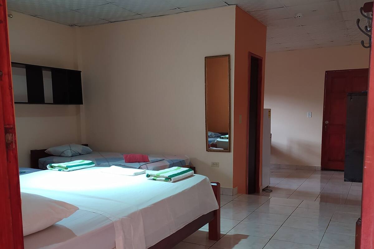 A bedroom with a bed, a mirror, and a door.