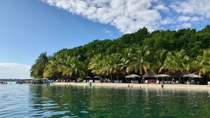 A beach with palm trees, a boat, and beach umbrellas.