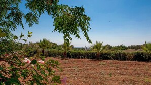 A garden with a variety of plants and a clear sky. - Casa Frulli (Uggiano la Chiesa)