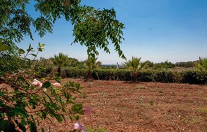 Garden - Casa Frulli (Uggiano la Chiesa)