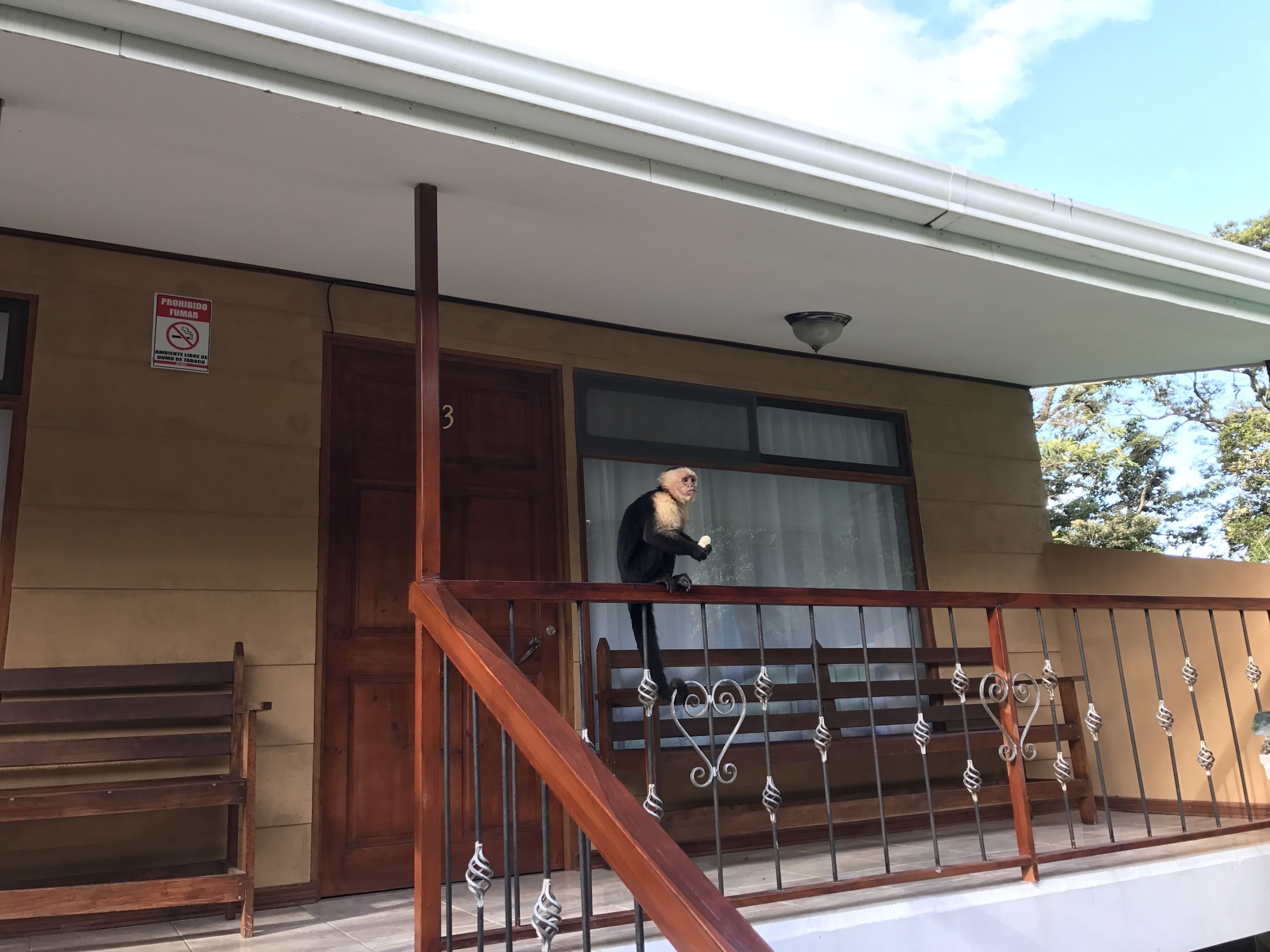 standard triple room | balcony