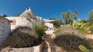 A stone pathway leading to a traditional stone building with a conical roof, surrounded by cacti and shrubs.