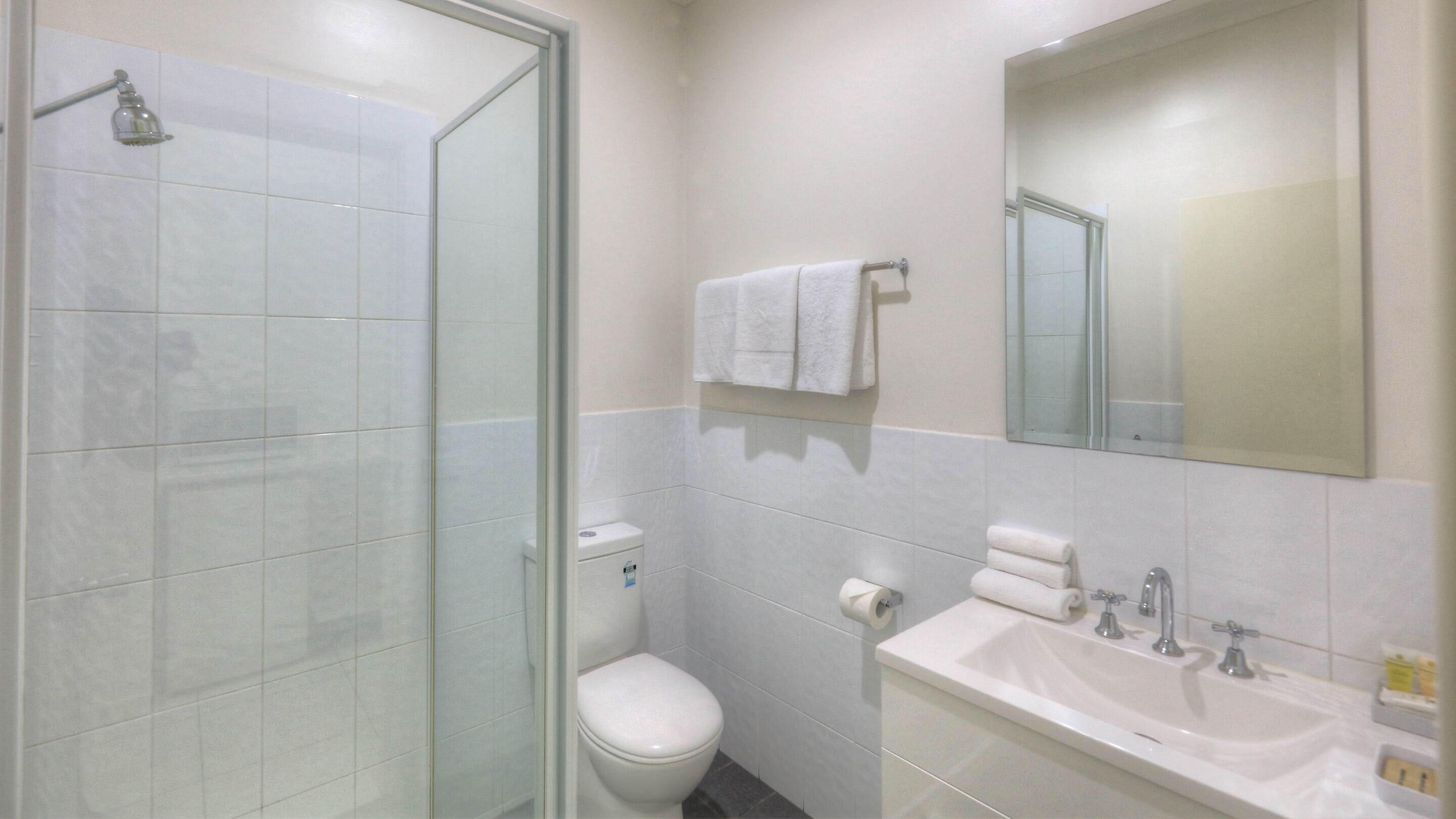 A bathroom with a glass-enclosed shower, a toilet, a sink, and a mirror.