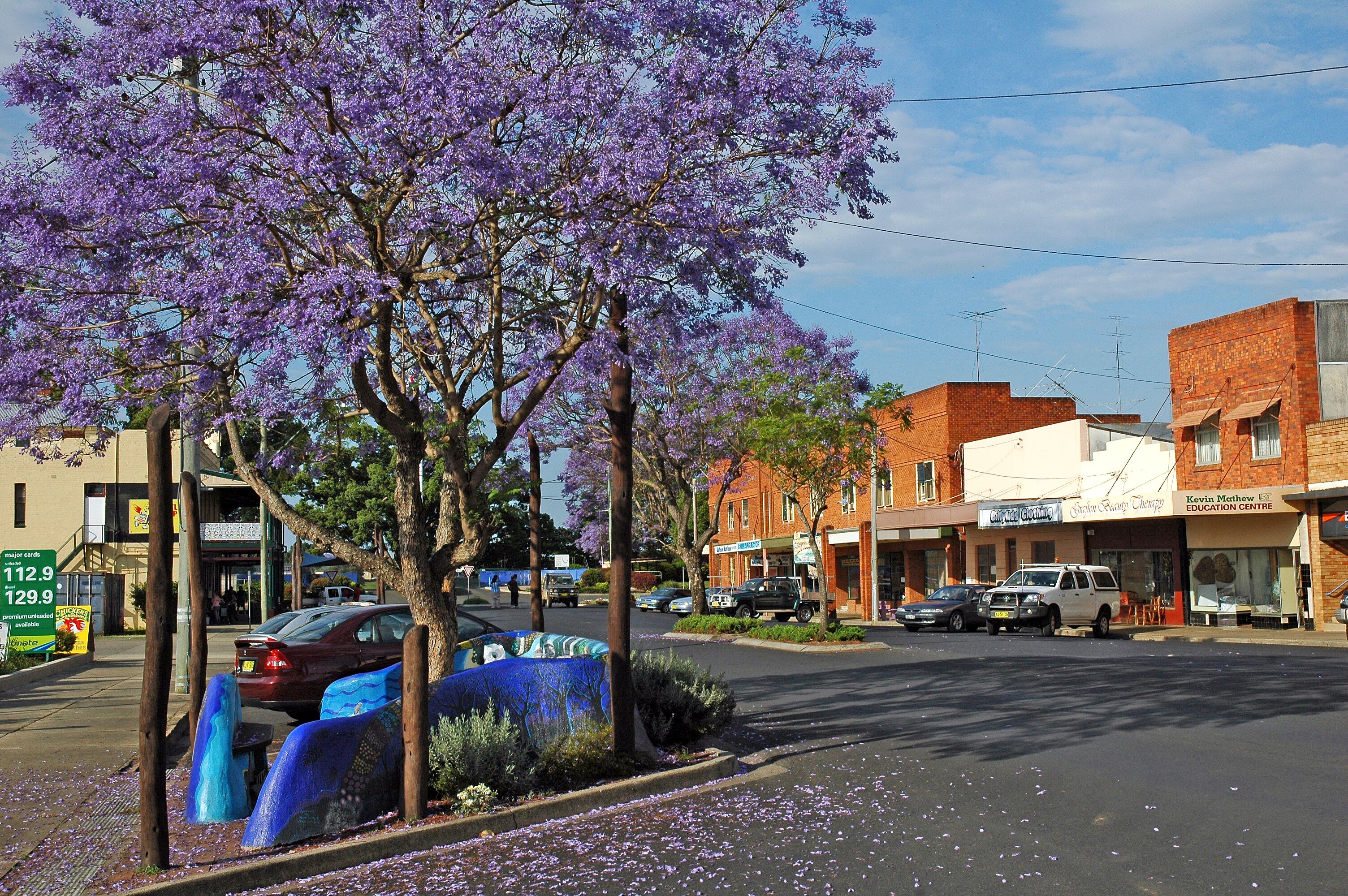 A street scene with purple flowering trees, parked cars, and buildings including a shop and an education center.