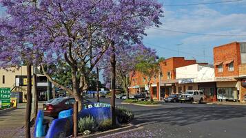 A street scene with purple flowering trees, parked cars, and buildings including a shop and an education center.