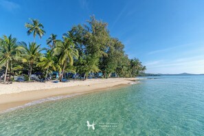 A beach with clear turquoise water, palm trees, and beach umbrellas.