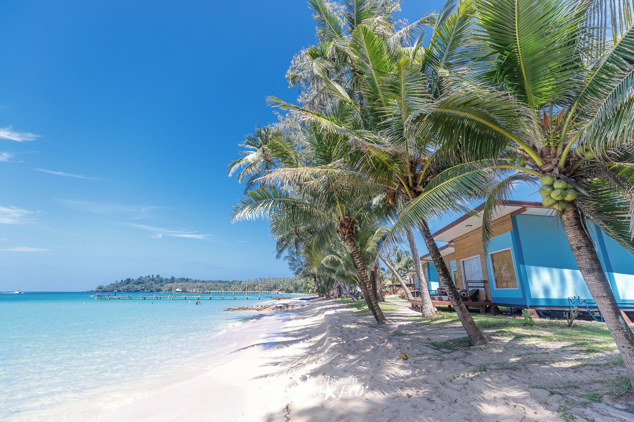 Beach front deluxe with Jacuzzi bathroom | Free WiFi