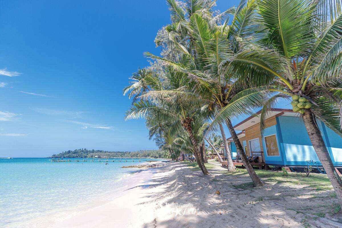 A beach with palm trees, clear blue water, and a building with a blue facade.