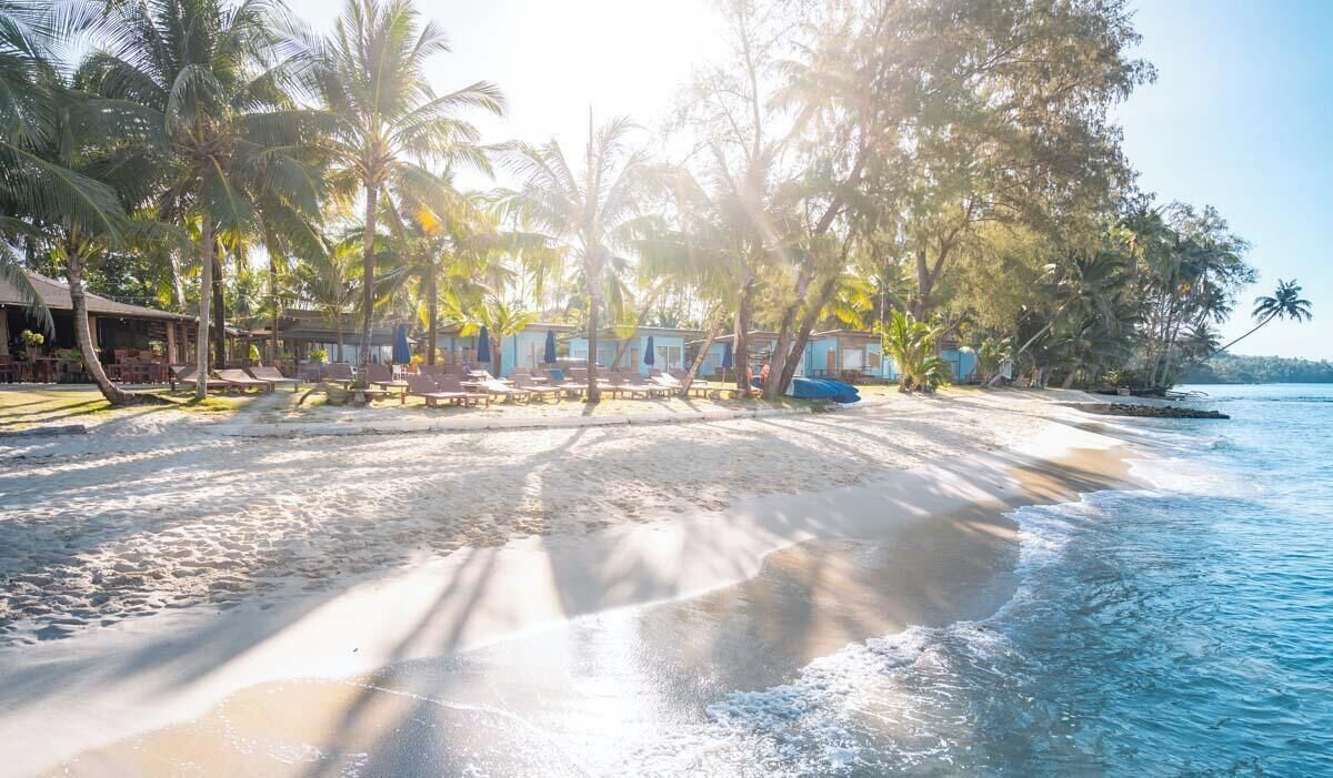 Una playa con palmeras, una orilla arenosa y una hilera de cabañas azules junto al mar.