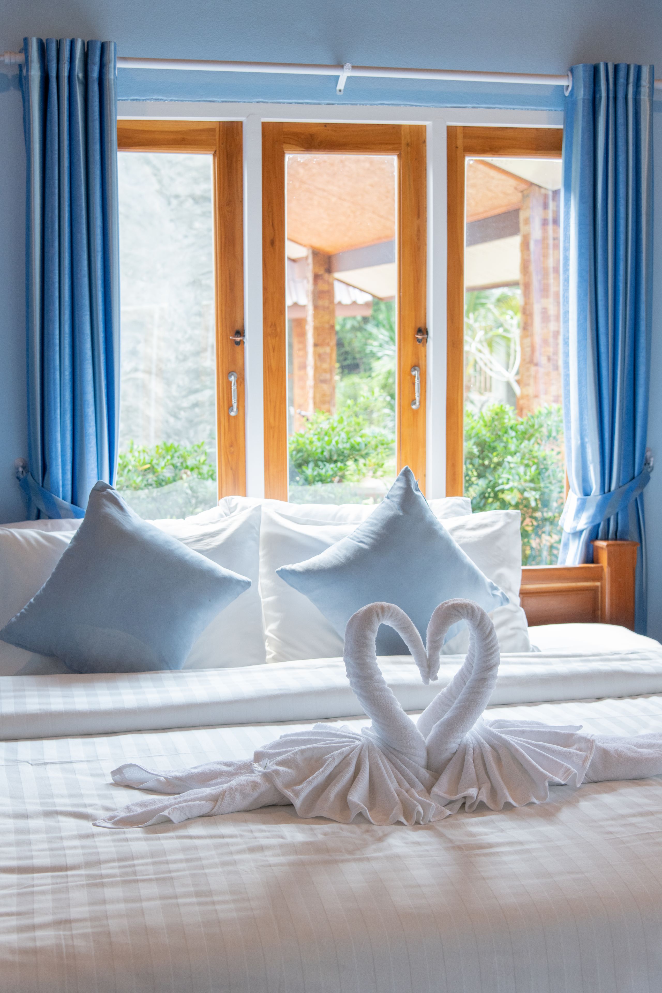 coconut garden swimming pool | free wifi