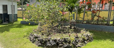 Jardim