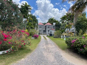 A gravel pathway leading to a two-story building with a red roof, surrounded by lush greenery and pink flowers.