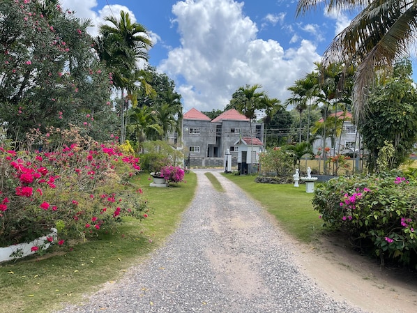 Vista frontal de la propiedad