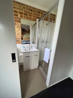 A bathroom with a glass shower enclosure, a white sink, and a mirror.