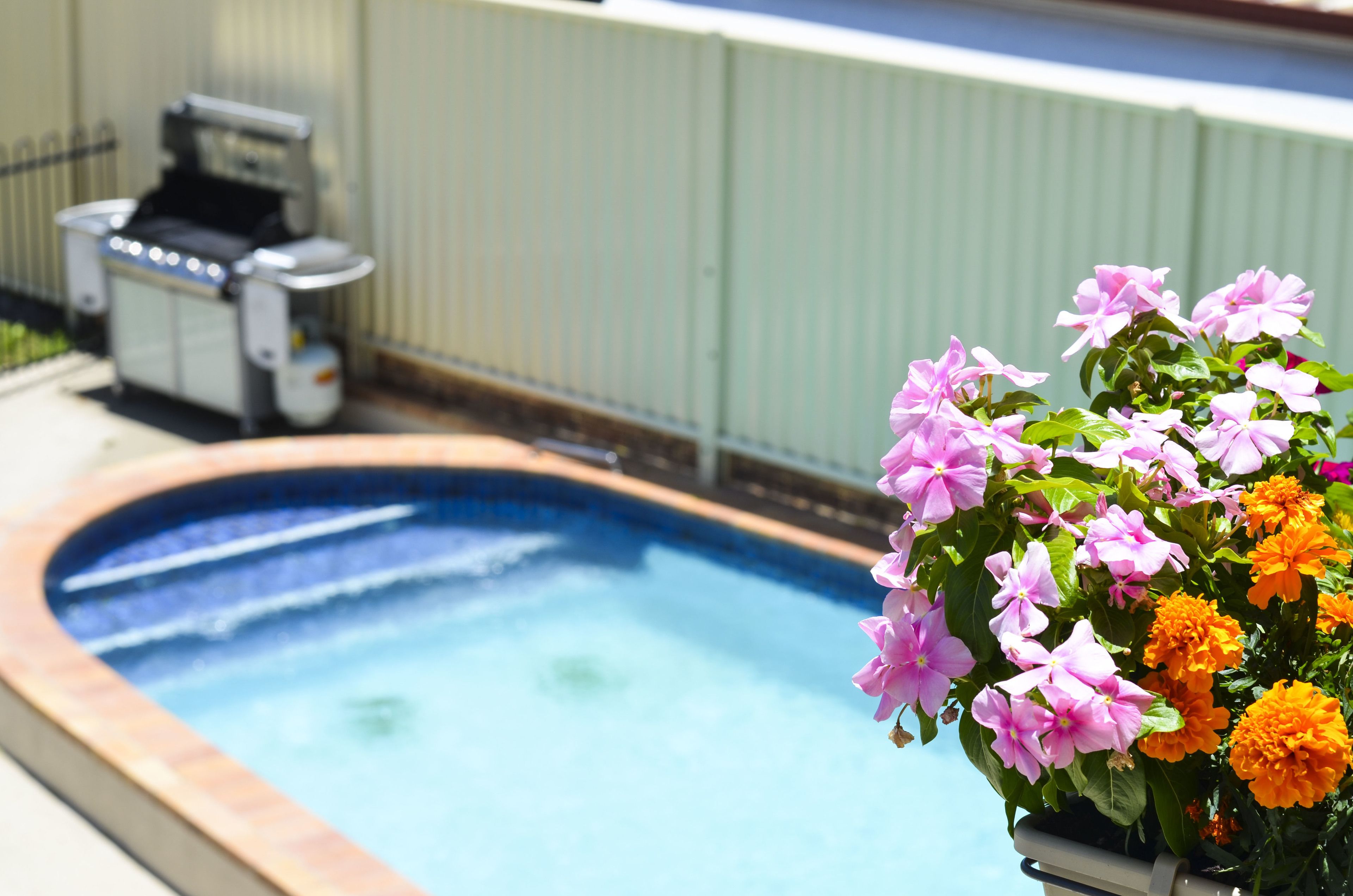 A swimming pool with a barbecue grill in the background.