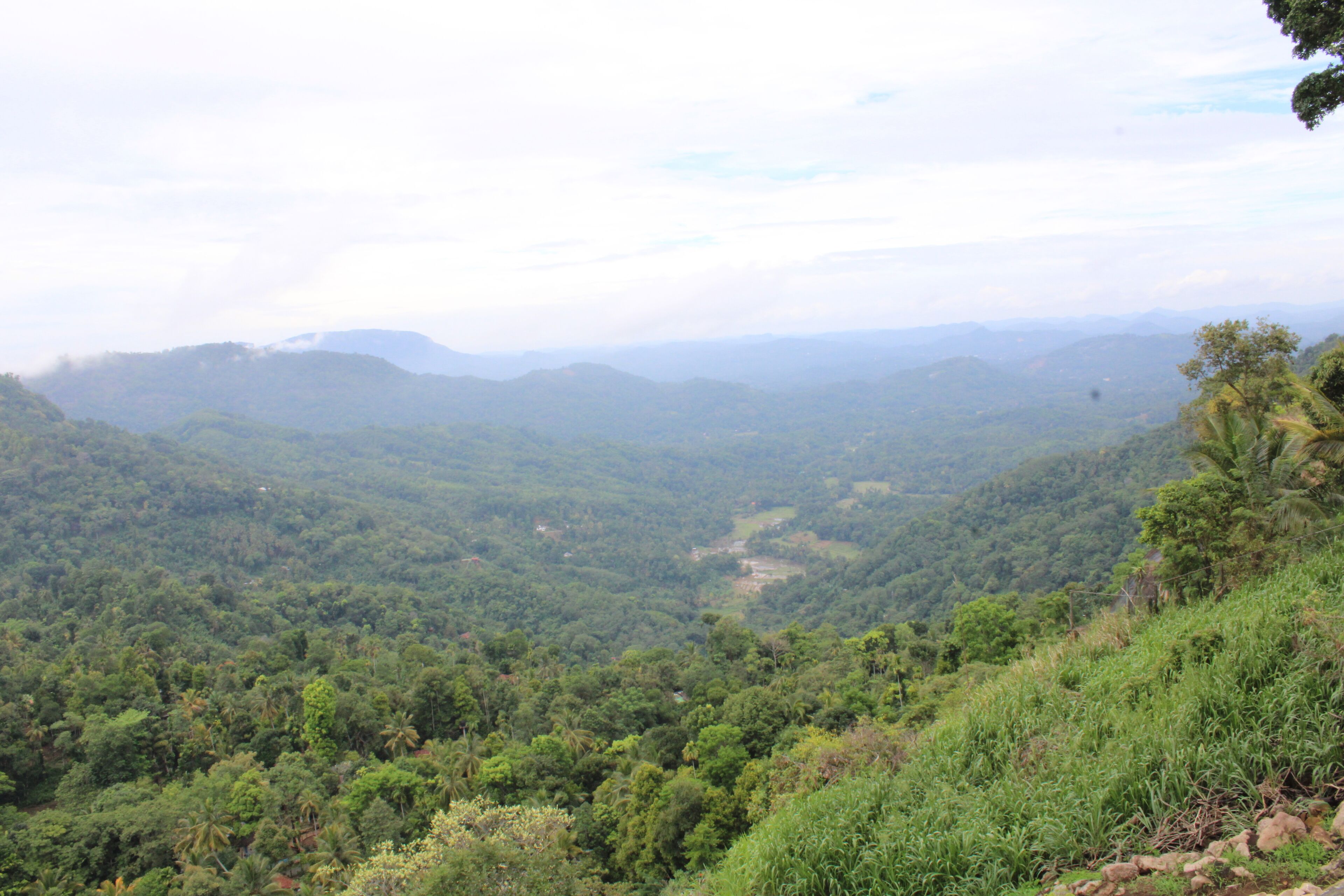 A panoramic view of a lush, green valley with rolling hills and dense forest.