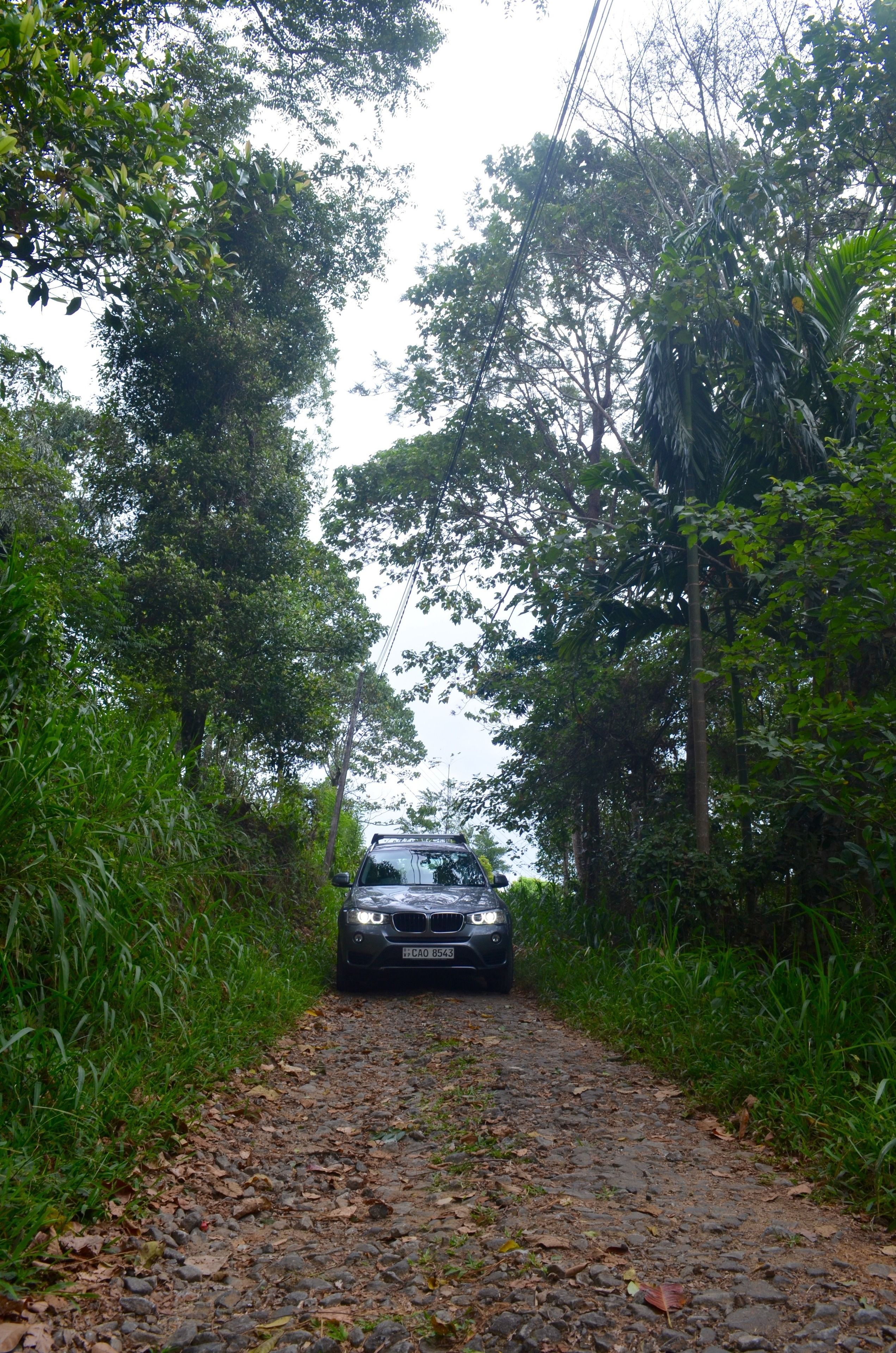 A car parked on a gravel path surrounded by dense greenery.