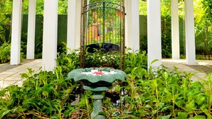 Un jardin aménagé, partiellement abrité, avec une fontaine centrale et un abreuvoir décoratif pour les oiseaux.