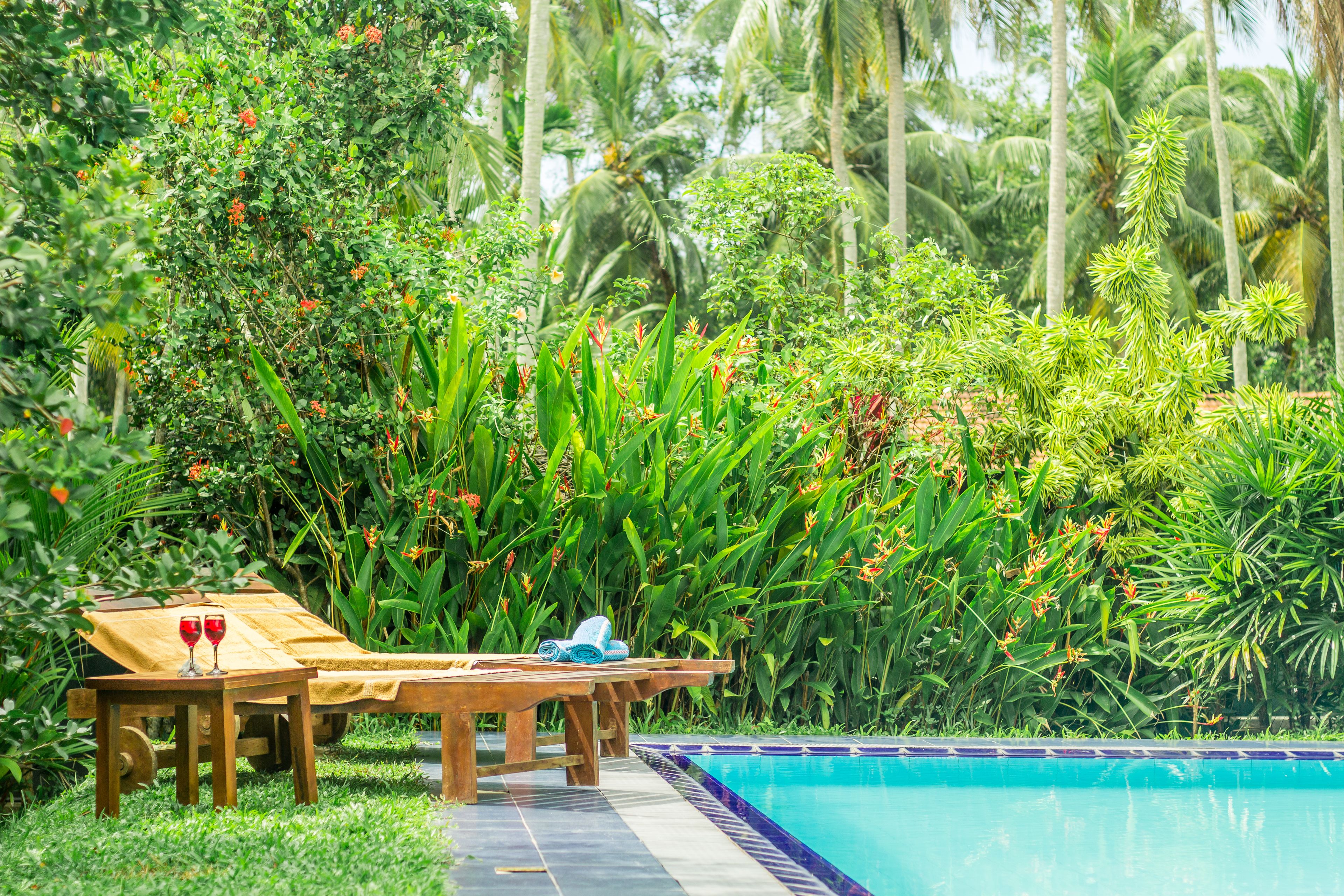 A poolside area with a wooden table and lounge chairs, surrounded by lush greenery and palm trees.