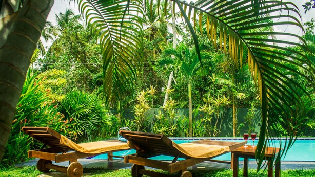 Un espace aménagé au bord de la piscine, avec des chaises longues en bois et une table, le tout entouré d’une végétation luxuriante et de palmiers.