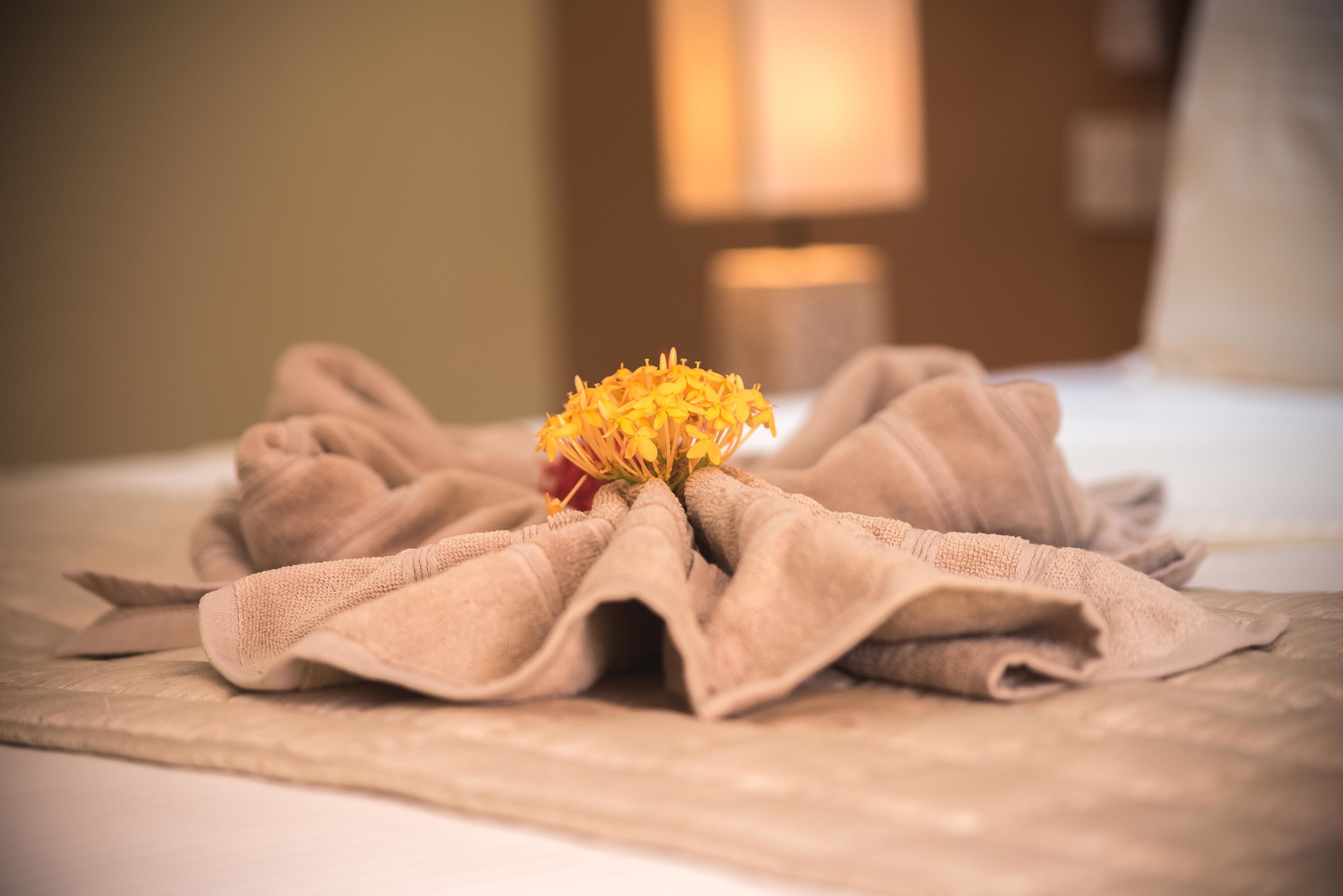 superior double or twin room, pool view, poolside | minibar, in-room safe, cots/infant beds, rollaway beds