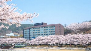 Un immeuble à plusieurs étages, orné d’une enseigne en coréen, entouré d’arbres en fleurs, plus précisément de cerisiers.