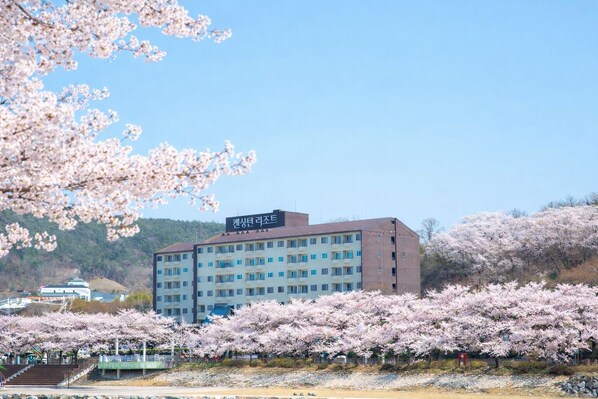 Un edificio de varios pisos con un letrero en coreano, rodeado de árboles de cerezo.