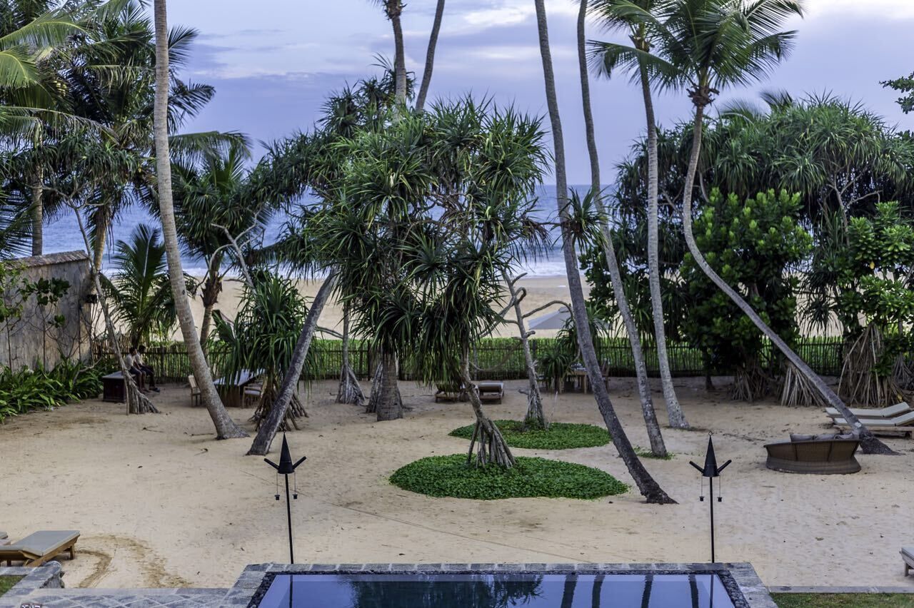 Saffron Room | Beach/ocean view