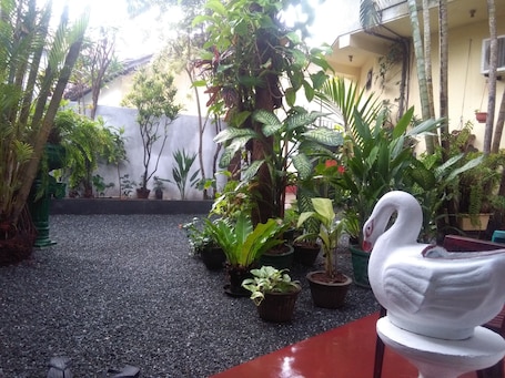 Vista desde la propiedad