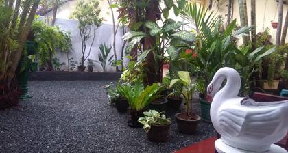 Mia's Villa