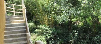 Sinharaja Birder's Lodge