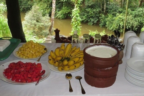 Alimentos y bebidas