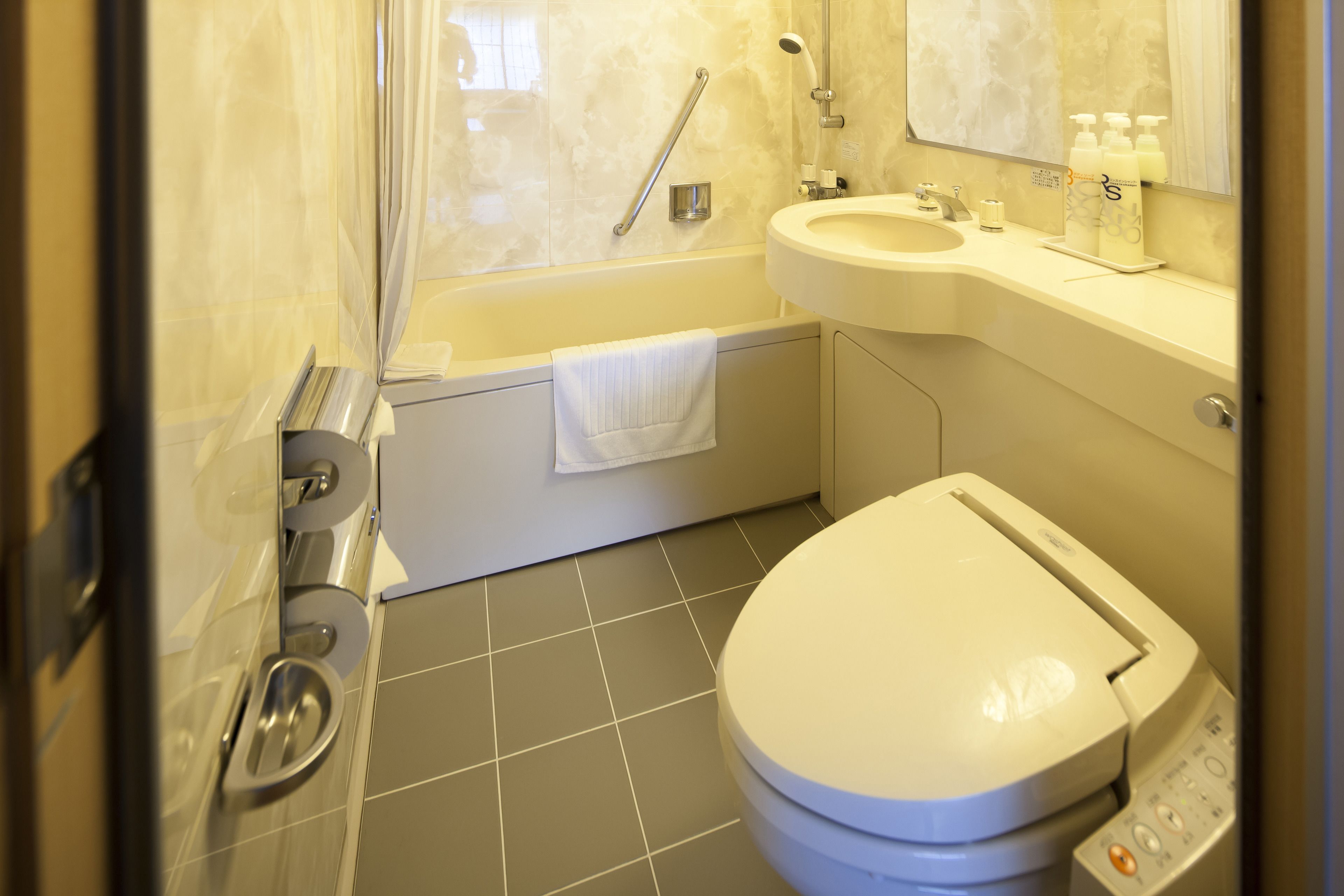 combined shower/bathtub, free toiletries, hair dryer, slippers