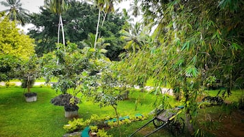 Jardim