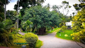 Jardim