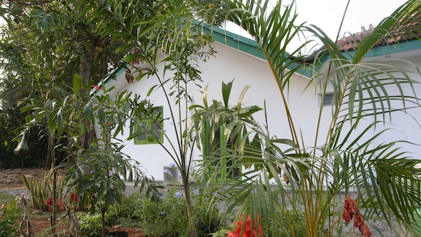A garden with various plants and a white building with a green roof. - Green Banana Mirissa (Mirissa)